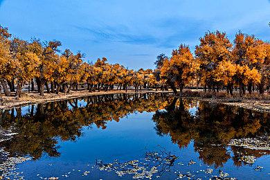 乔尔回归！顽皮狗新作据称自由度更高